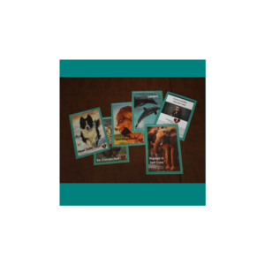 Trauma Sensitive Educator Cards