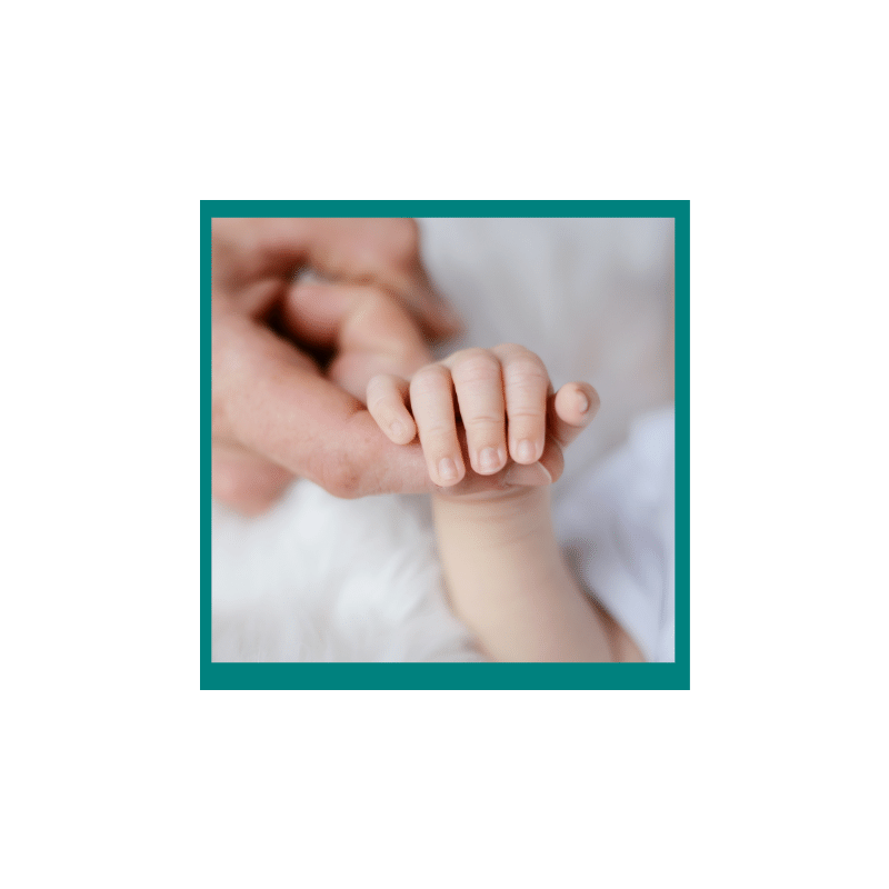 Buckwalter, Karen: The Legacy of Attachment Our Own History