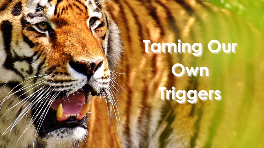 Taming Our Own Triggers – Thurs Night Event