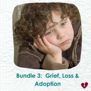 Bundle 3 - Grief, Loss and Adoption