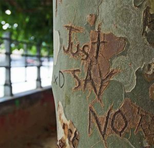 just say no